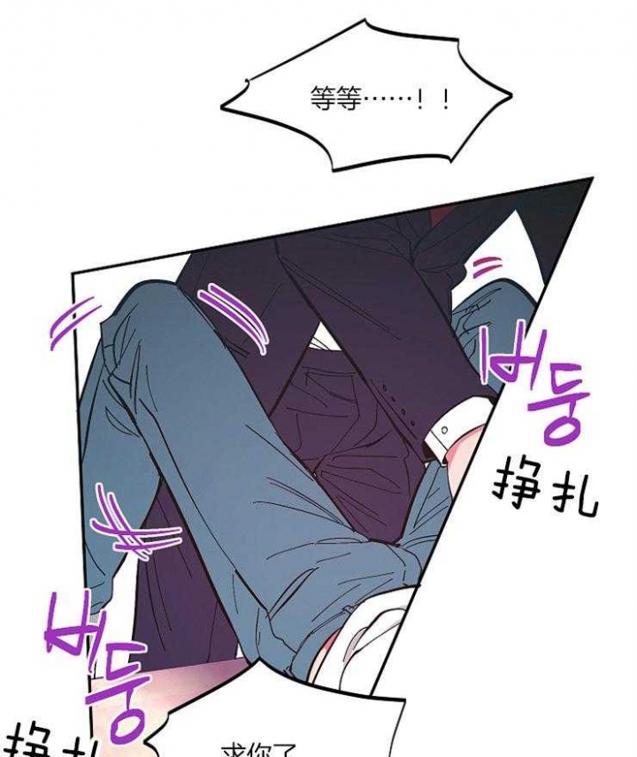 《掌心之花》漫画最新章节第16话免费下拉式在线观看章节第【3】张图片