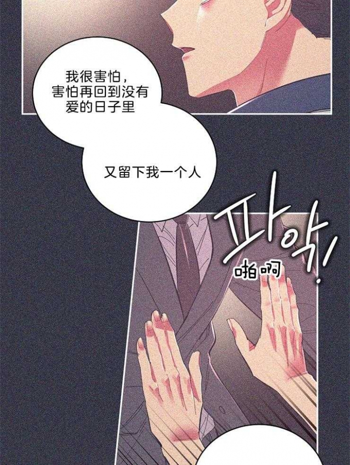 《掌心之花》漫画最新章节第49话免费下拉式在线观看章节第【21】张图片