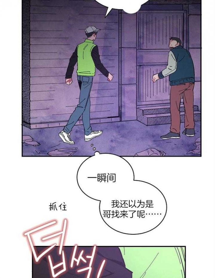 《掌心之花》漫画最新章节第28话免费下拉式在线观看章节第【6】张图片