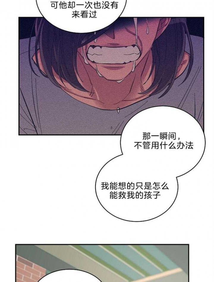 《掌心之花》漫画最新章节第43话免费下拉式在线观看章节第【12】张图片