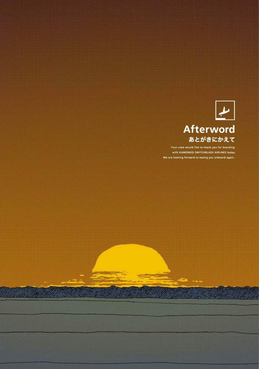 《S.Flight 内藤泰弘作品集》漫画最新章节后记免费下拉式在线观看章节第【11】张图片