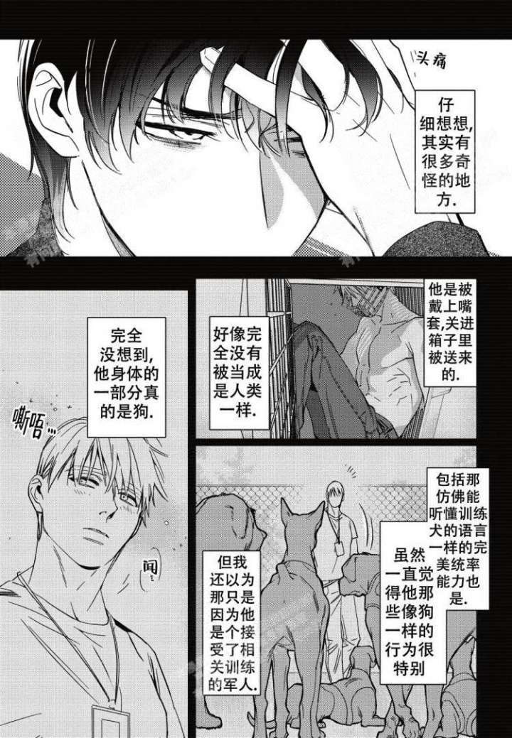 《断裂的项圈》漫画最新章节第8话免费下拉式在线观看章节第【8】张图片