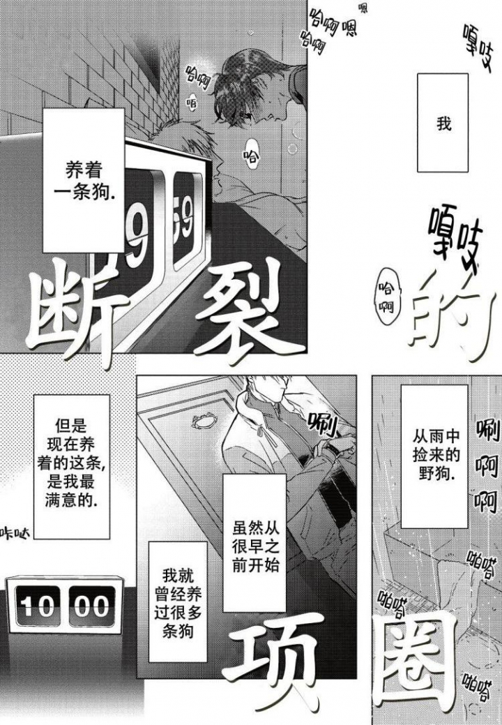 《断裂的项圈》漫画最新章节第1话免费下拉式在线观看章节第【1】张图片