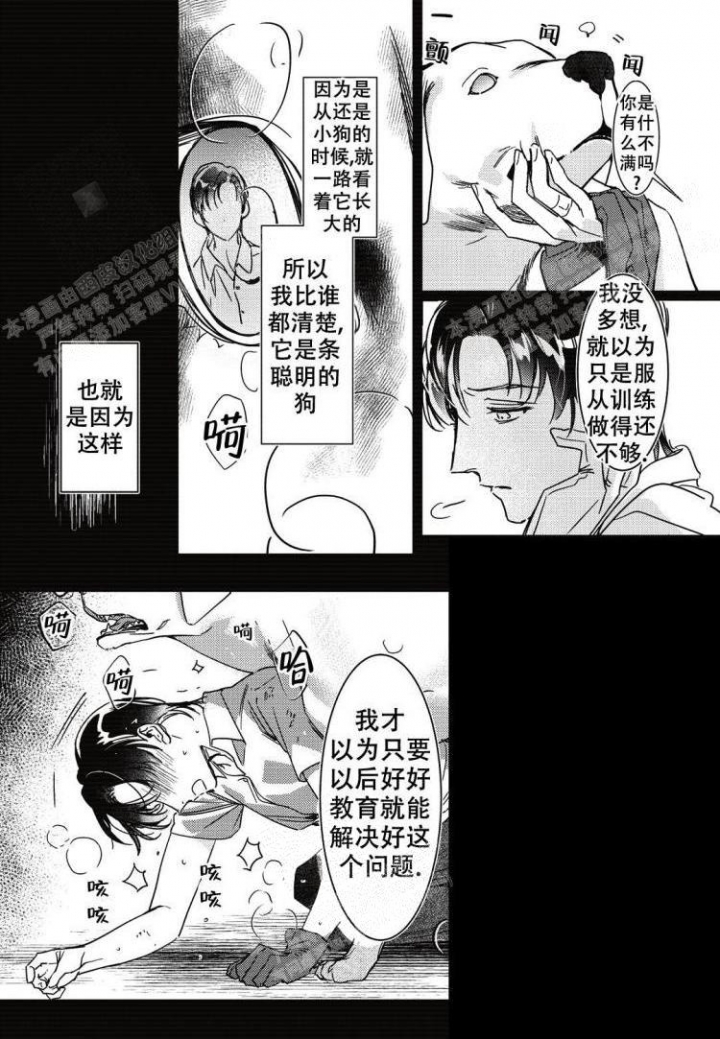 《断裂的项圈》漫画最新章节第5话免费下拉式在线观看章节第【12】张图片