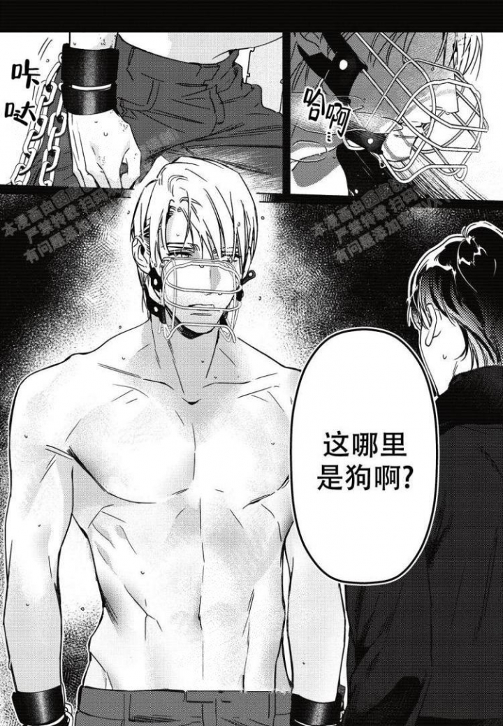 《断裂的项圈》漫画最新章节第6话免费下拉式在线观看章节第【5】张图片