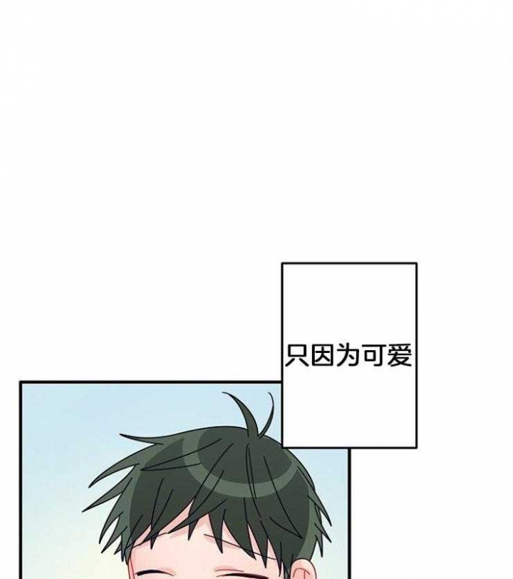 《爱情也能做手术吗？》漫画最新章节第40话免费下拉式在线观看章节第【5】张图片