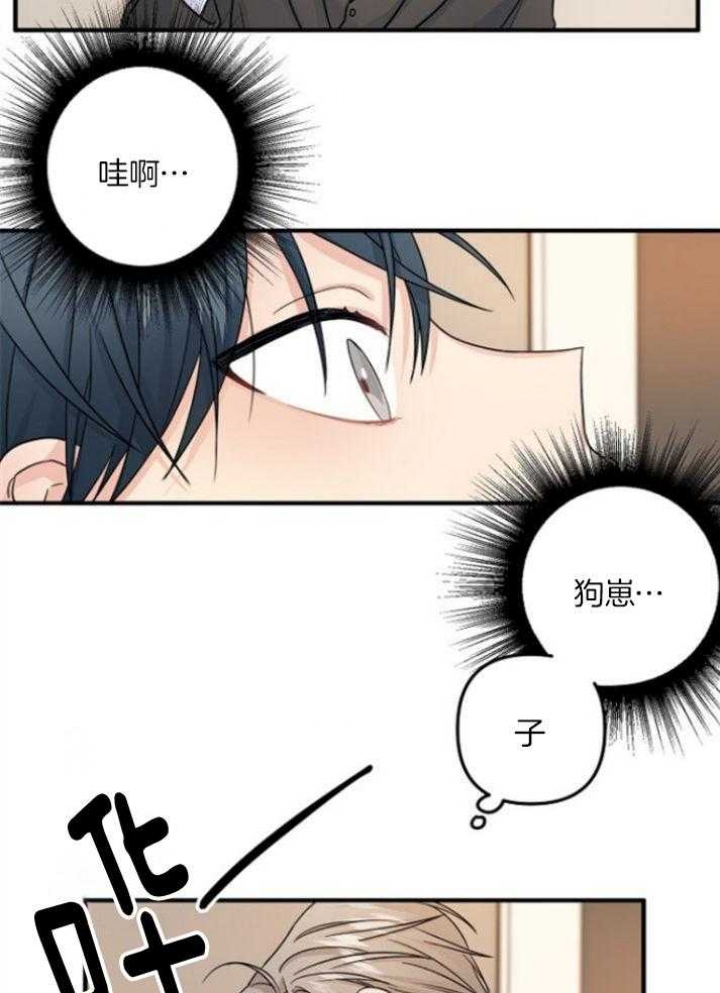 《爱情也能做手术吗？》漫画最新章节第69话免费下拉式在线观看章节第【24】张图片