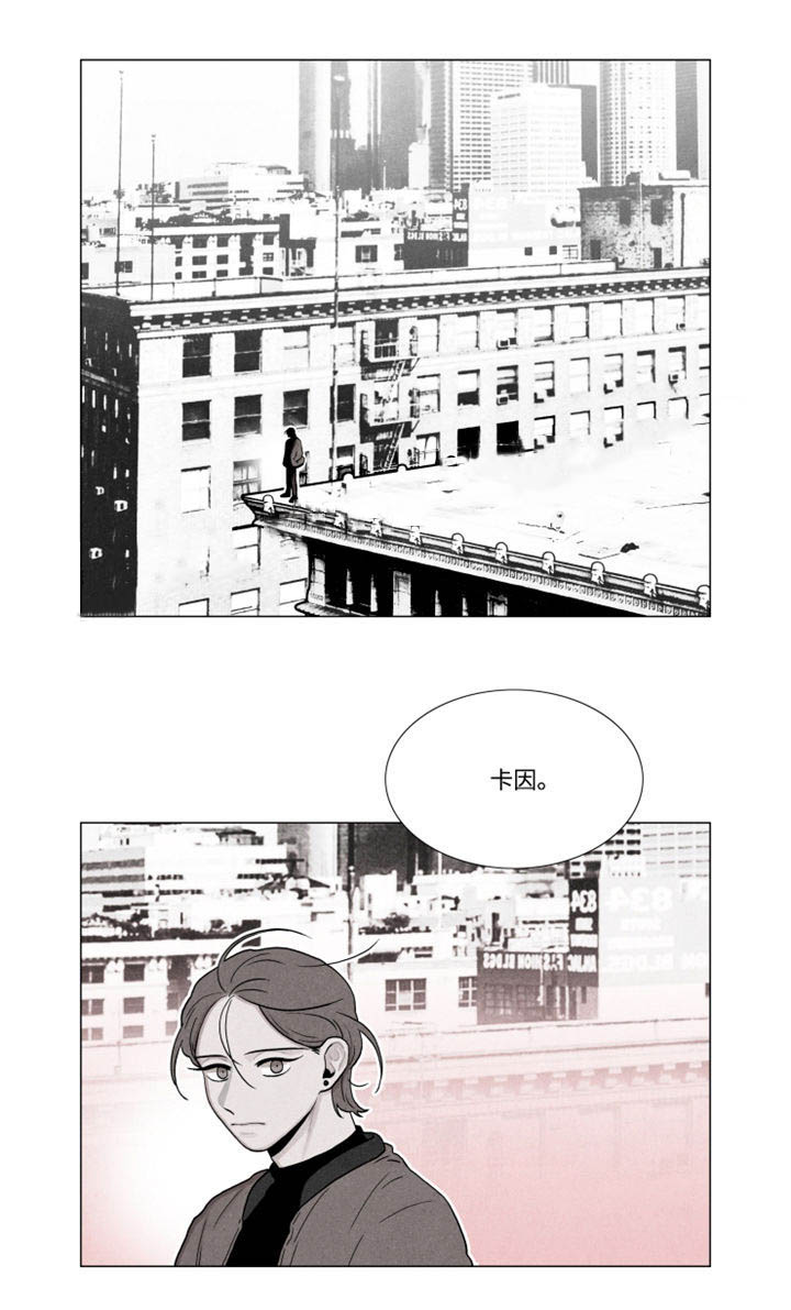 《卡莱揭秘》漫画最新章节第28话免费下拉式在线观看章节第【3】张图片