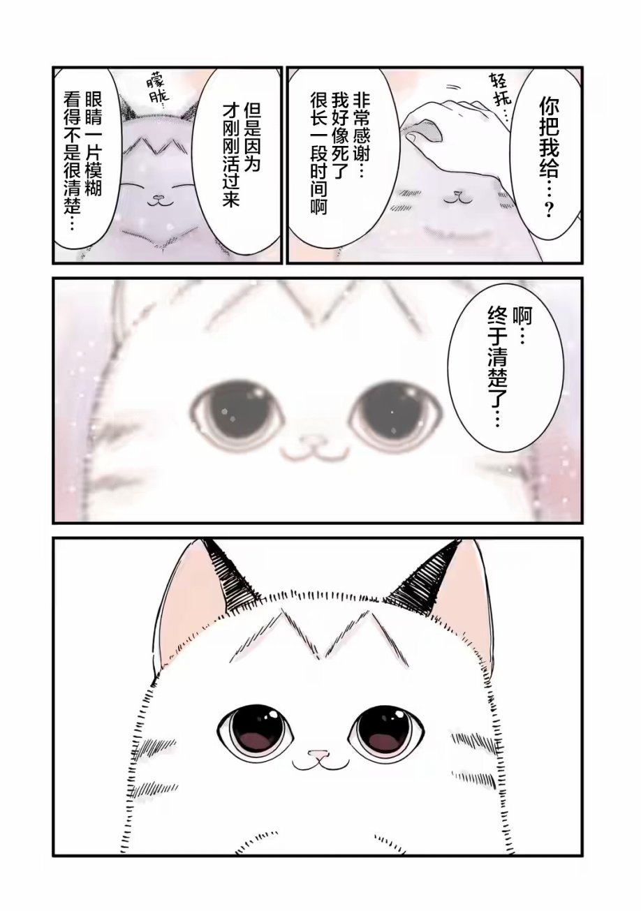 《转生猫猫》漫画最新章节第23话免费下拉式在线观看章节第【2】张图片