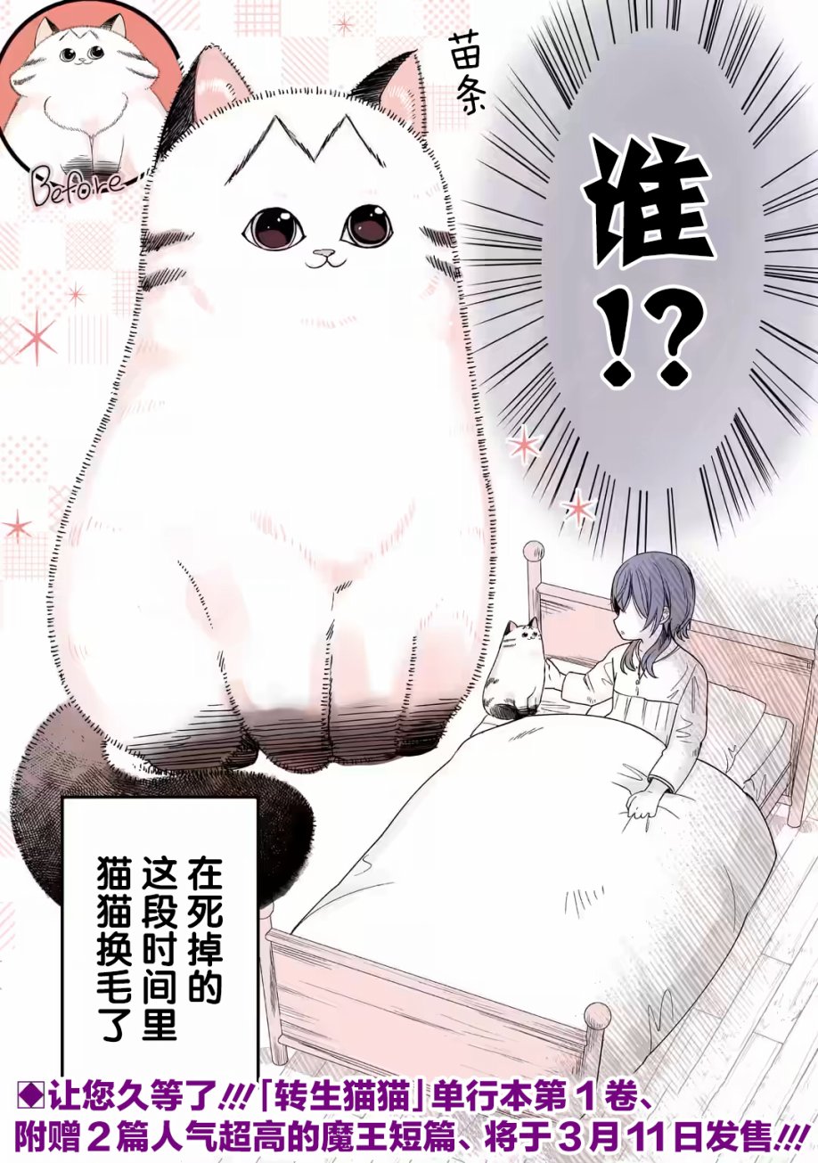 《转生猫猫》漫画最新章节第23话免费下拉式在线观看章节第【3】张图片