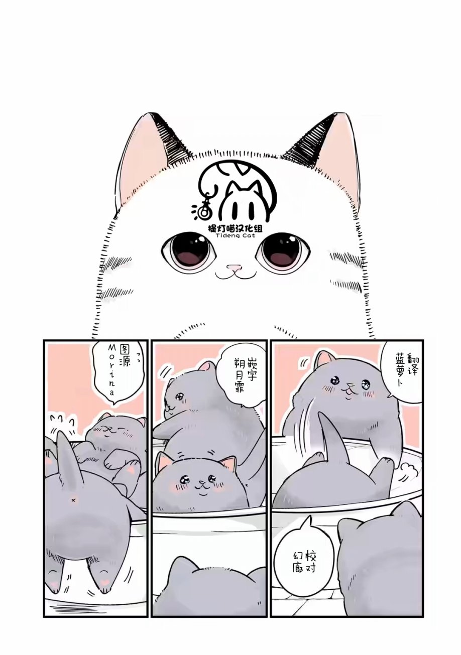 《转生猫猫》漫画最新章节第23话免费下拉式在线观看章节第【4】张图片