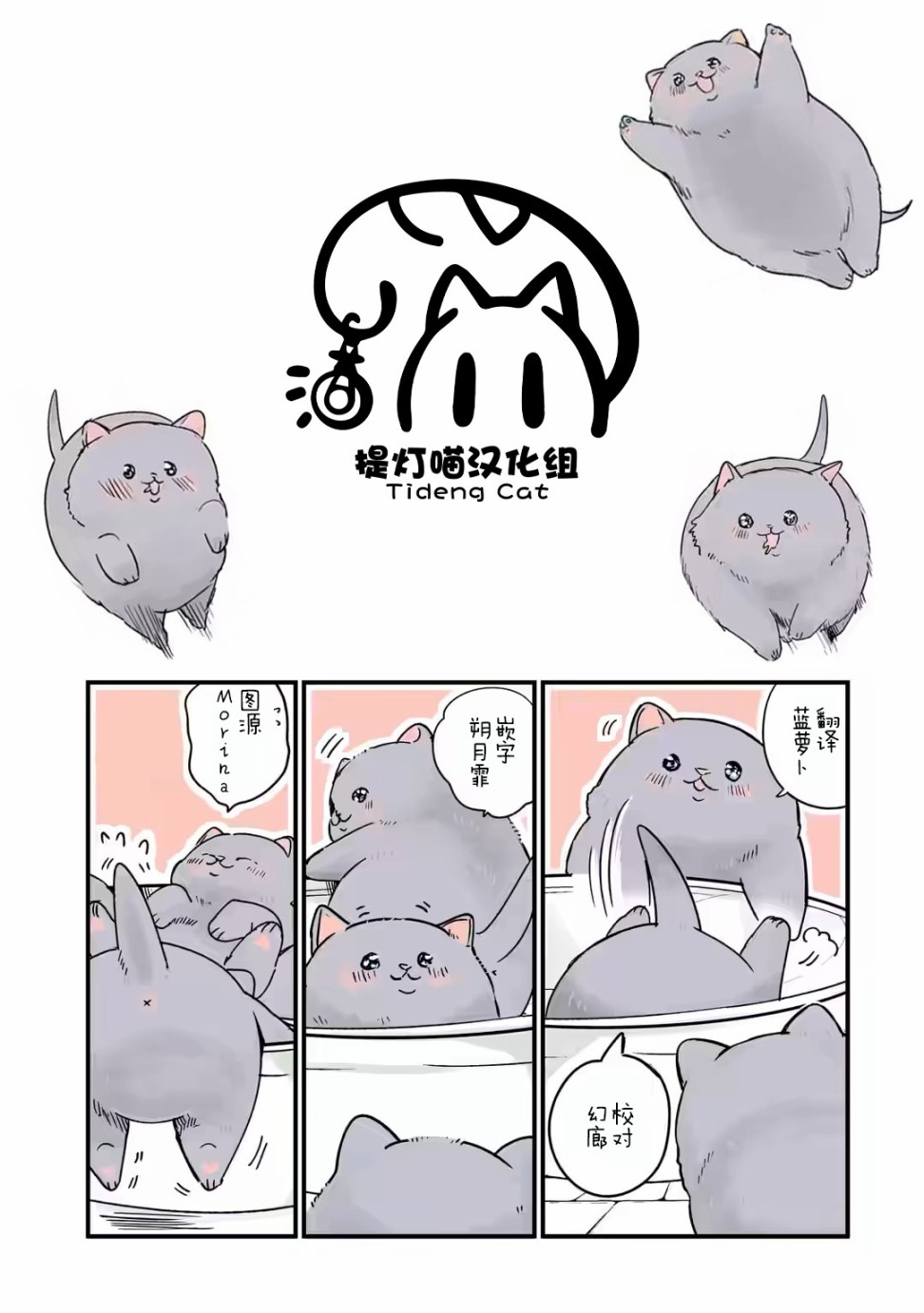 《转生猫猫》漫画最新章节第22话免费下拉式在线观看章节第【6】张图片