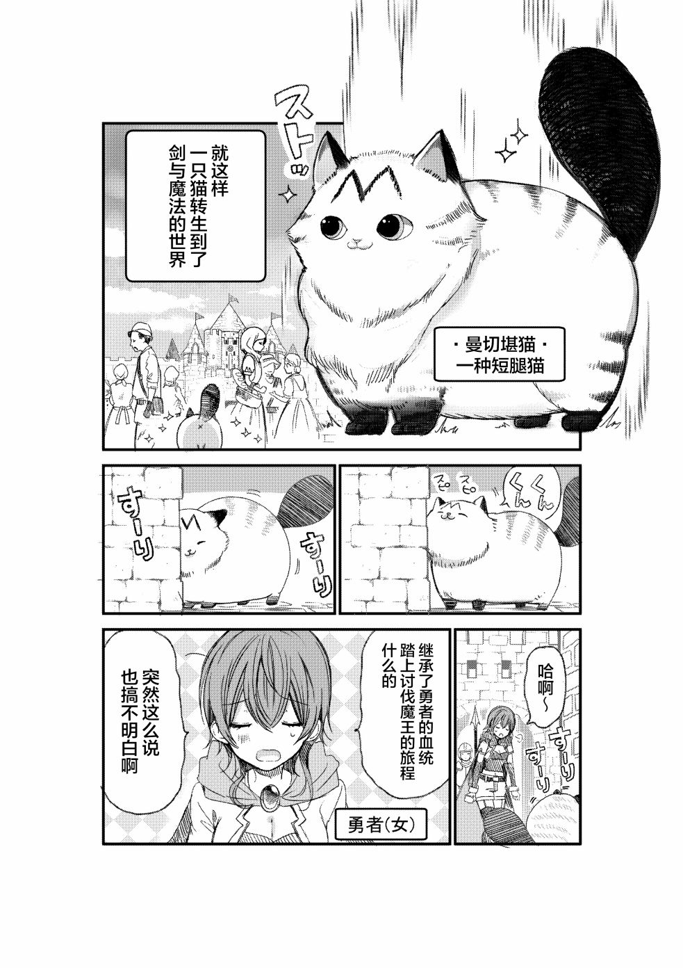 《转生猫猫》漫画最新章节第1话免费下拉式在线观看章节第【2】张图片