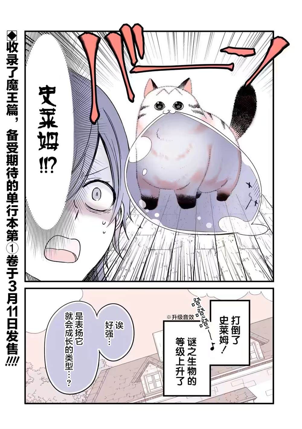 《转生猫猫》漫画最新章节第24话免费下拉式在线观看章节第【4】张图片