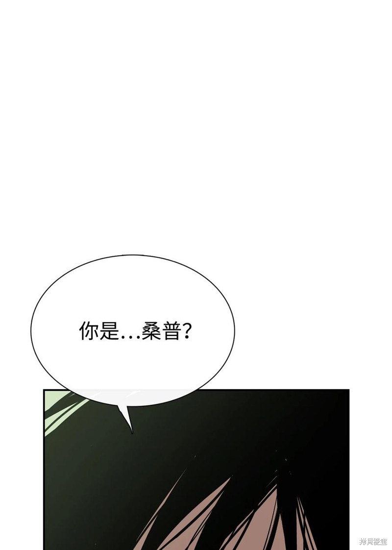 《图腾领域》漫画最新章节第37话 试看版免费下拉式在线观看章节第【37】张图片