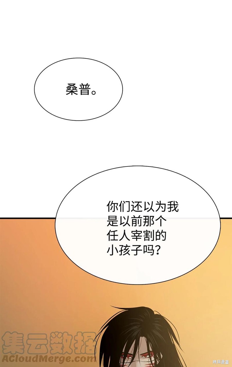 《图腾领域》漫画最新章节第57话 试看版免费下拉式在线观看章节第【47】张图片