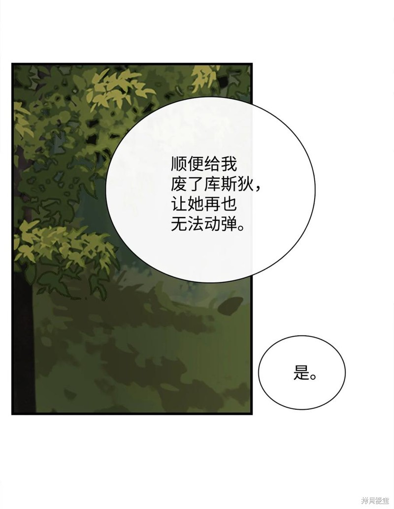 《图腾领域》漫画最新章节第56话 试看版免费下拉式在线观看章节第【36】张图片