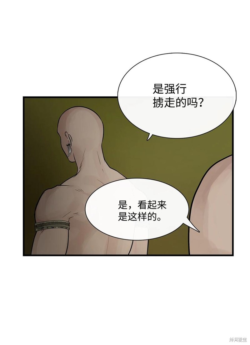 《图腾领域》漫画最新章节第56话 试看版免费下拉式在线观看章节第【29】张图片