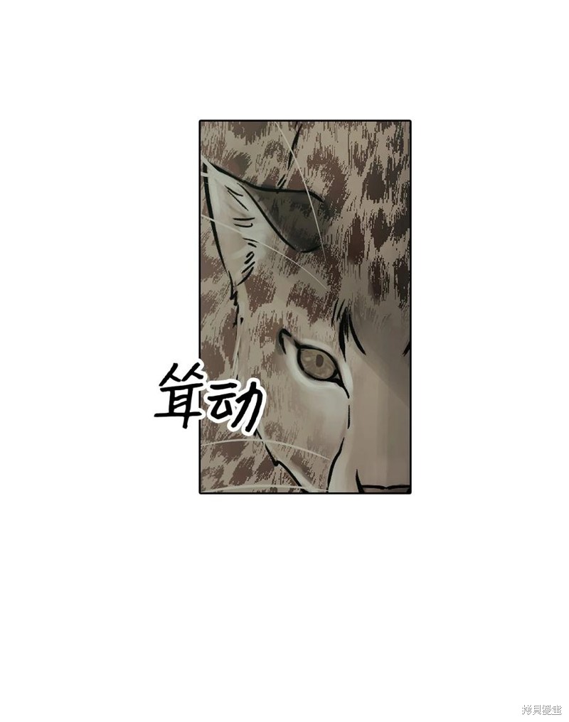 《图腾领域》漫画最新章节第35话 试看版免费下拉式在线观看章节第【26】张图片