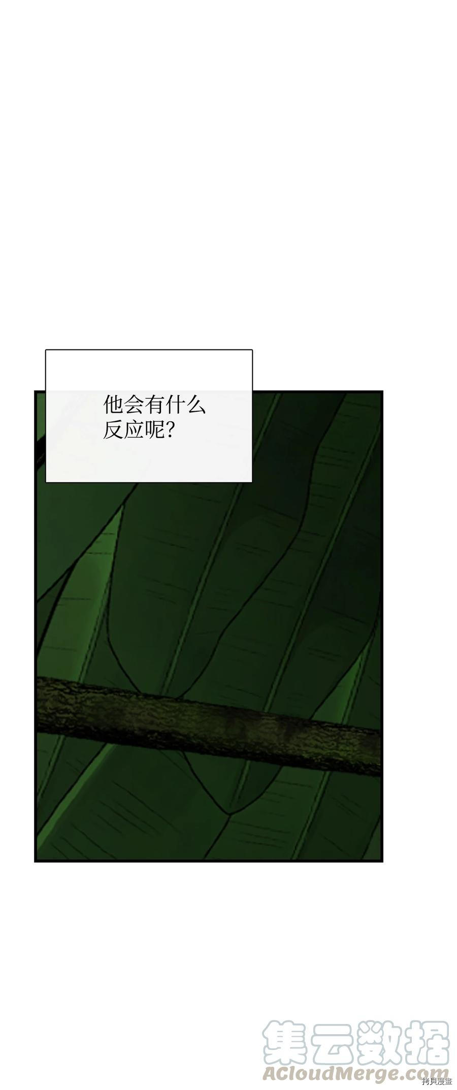 《图腾领域》漫画最新章节第13话 试看版免费下拉式在线观看章节第【15】张图片