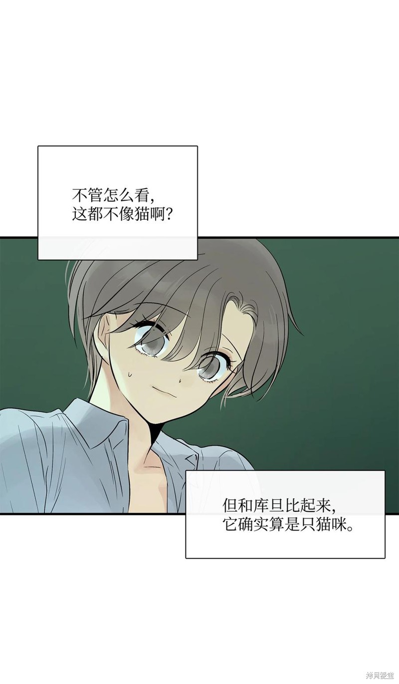 《图腾领域》漫画最新章节第35话 试看版免费下拉式在线观看章节第【17】张图片