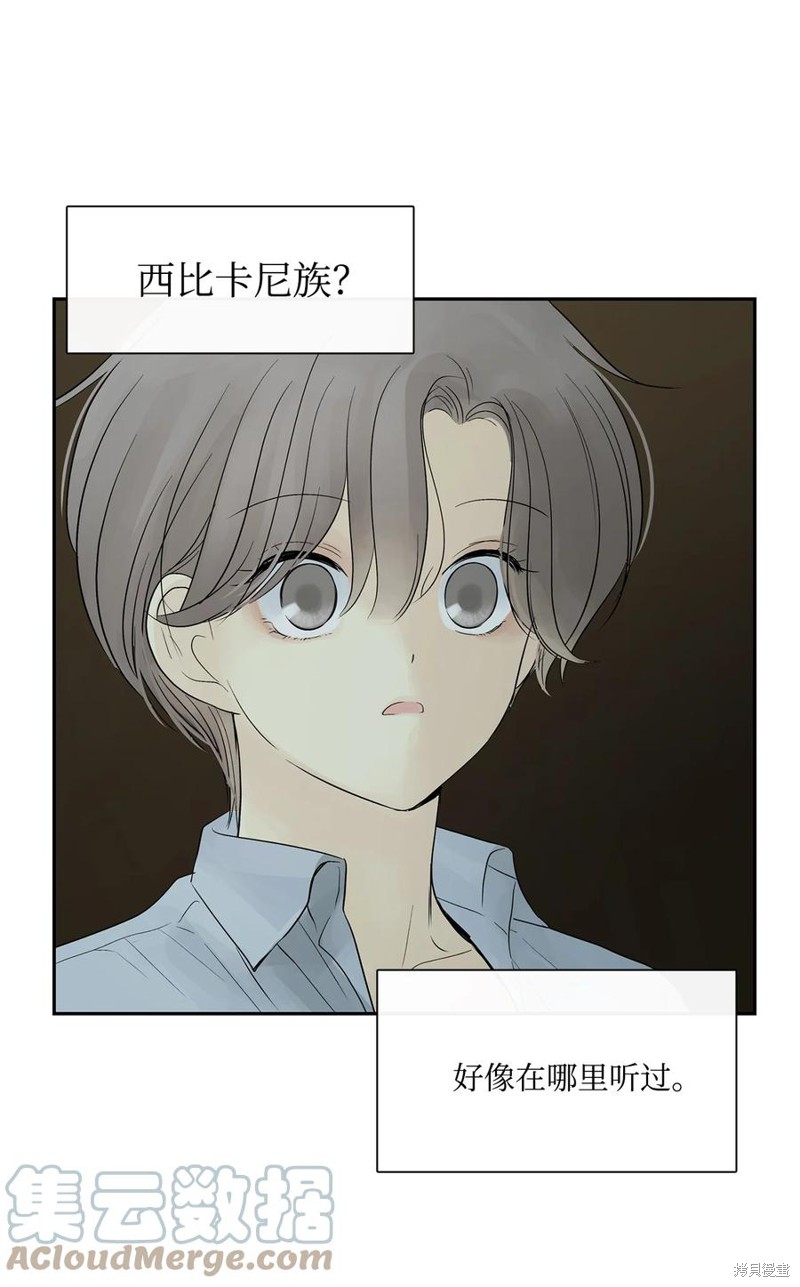 《图腾领域》漫画最新章节第49话 试看版免费下拉式在线观看章节第【31】张图片