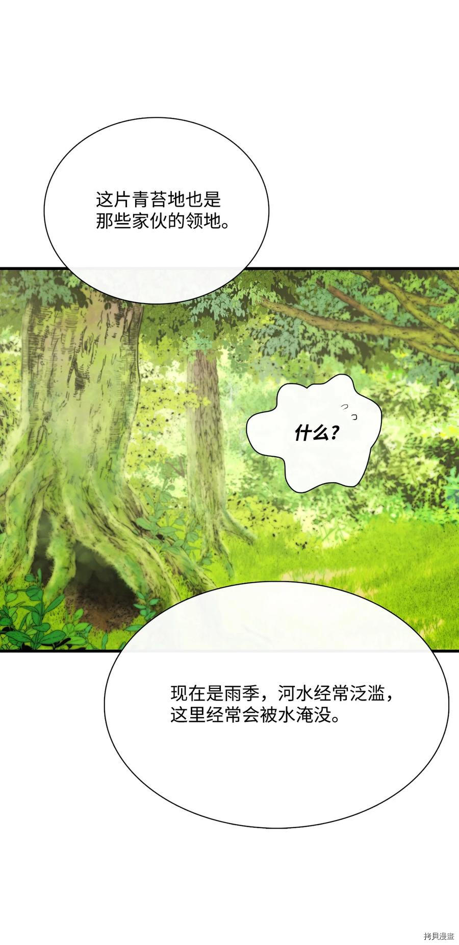 《图腾领域》漫画最新章节第17话 试看版免费下拉式在线观看章节第【15】张图片