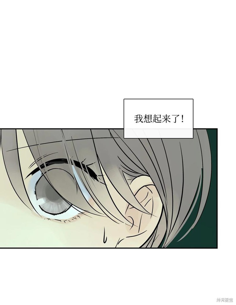 《图腾领域》漫画最新章节第37话 试看版免费下拉式在线观看章节第【74】张图片