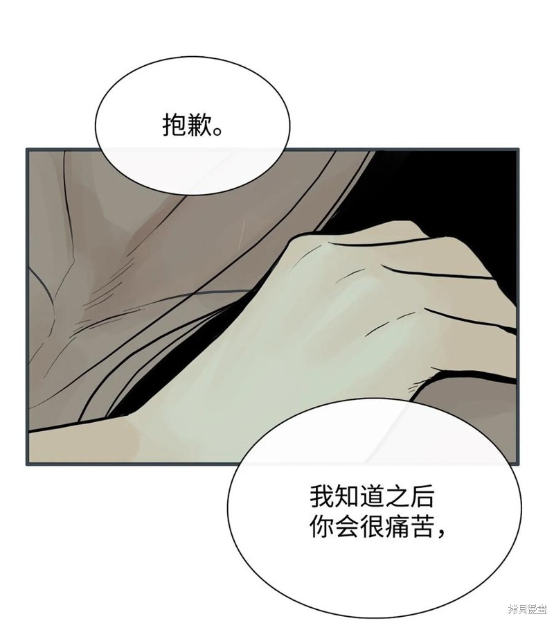 《图腾领域》漫画最新章节第53话 试看版免费下拉式在线观看章节第【28】张图片