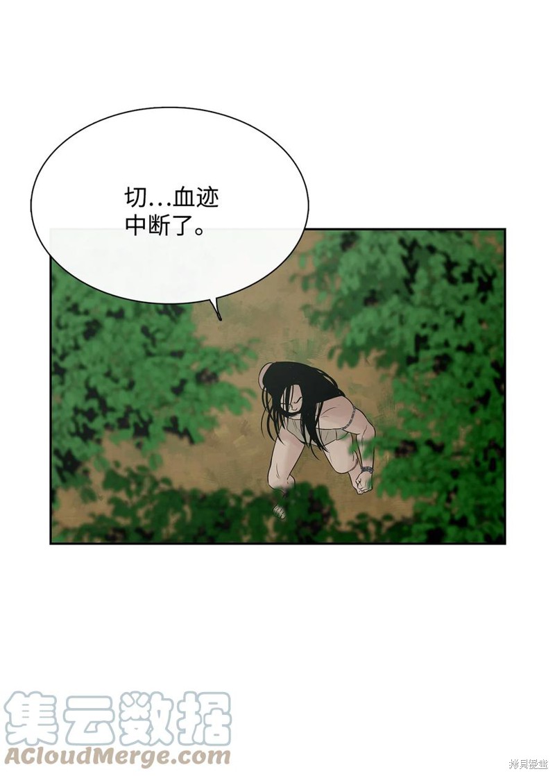 《图腾领域》漫画最新章节第51话 试看版免费下拉式在线观看章节第【15】张图片