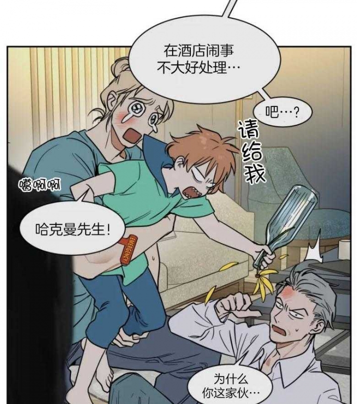 《私人绯闻》漫画最新章节第137话免费下拉式在线观看章节第【3】张图片