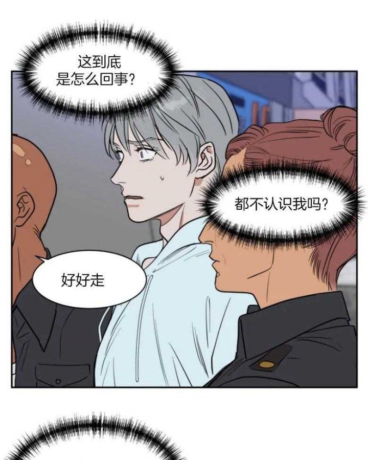 《私人绯闻》漫画最新章节第134话免费下拉式在线观看章节第【11】张图片