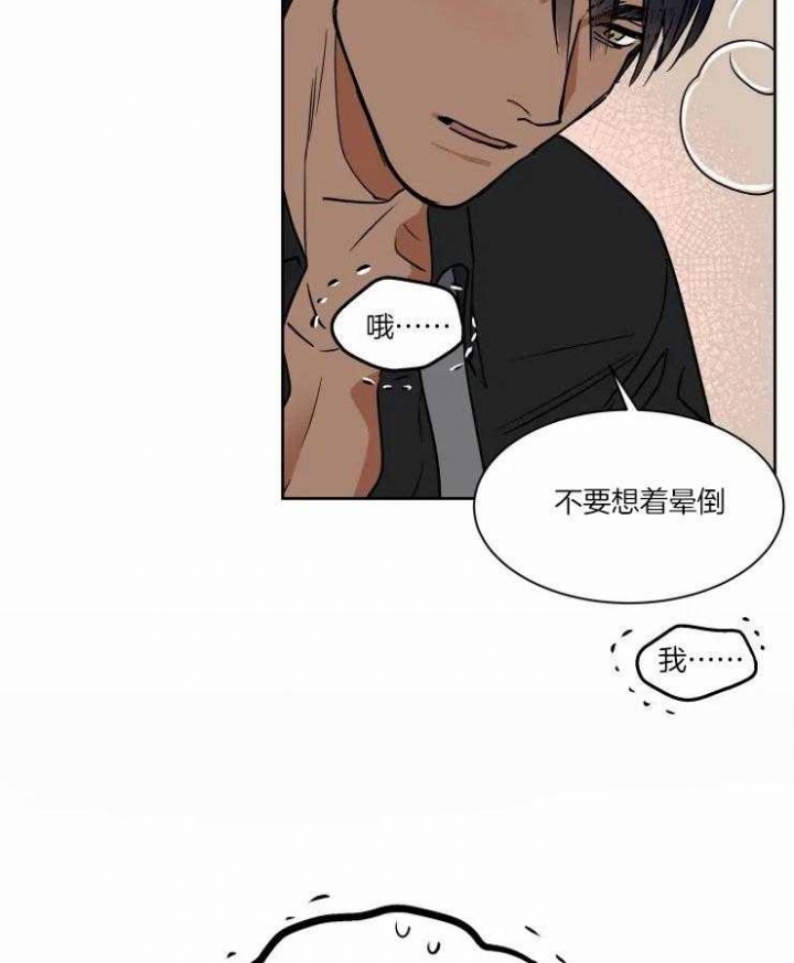 《私人绯闻》漫画最新章节第93话免费下拉式在线观看章节第【17】张图片