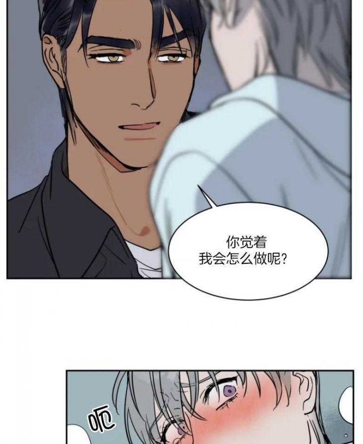 《私人绯闻》漫画最新章节第139话免费下拉式在线观看章节第【15】张图片