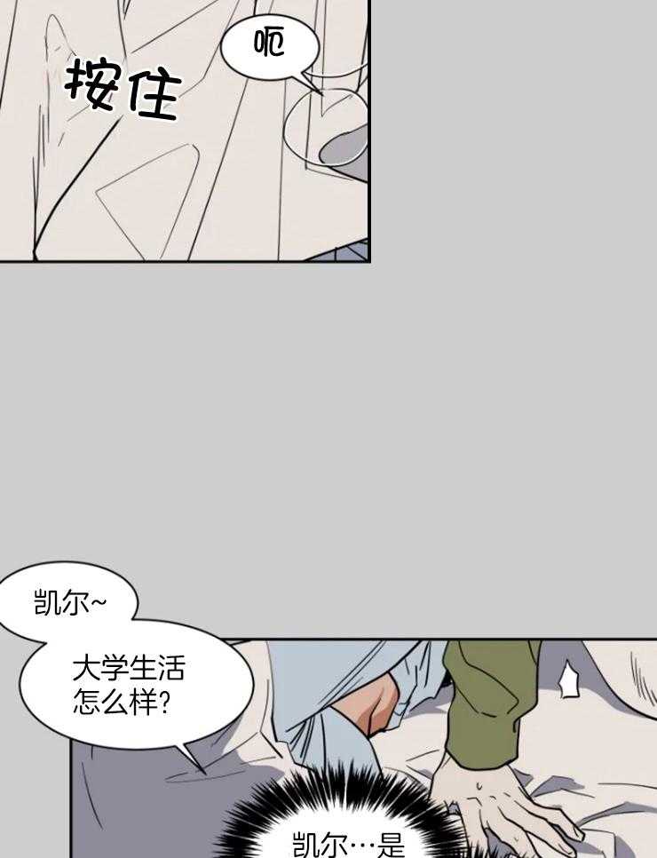 《私人绯闻》漫画最新章节第155话免费下拉式在线观看章节第【11】张图片