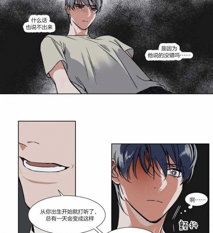 《私人绯闻》漫画最新章节第81话免费下拉式在线观看章节第【3】张图片