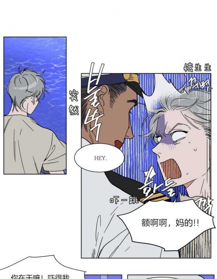 《私人绯闻》漫画最新章节第70话免费下拉式在线观看章节第【5】张图片