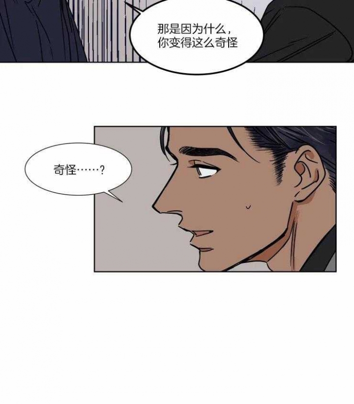 《私人绯闻》漫画最新章节第91话免费下拉式在线观看章节第【16】张图片