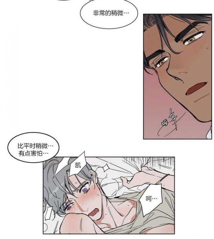 《私人绯闻》漫画最新章节第72话免费下拉式在线观看章节第【3】张图片