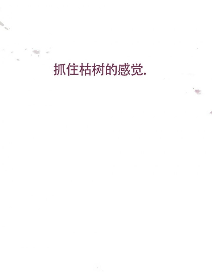 《太阳的痕迹》漫画最新章节第17话免费下拉式在线观看章节第【39】张图片