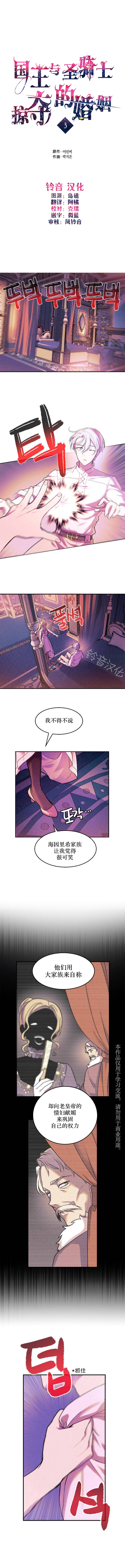《国王与圣骑士的掠夺婚姻》漫画最新章节第3话免费下拉式在线观看章节第【2】张图片