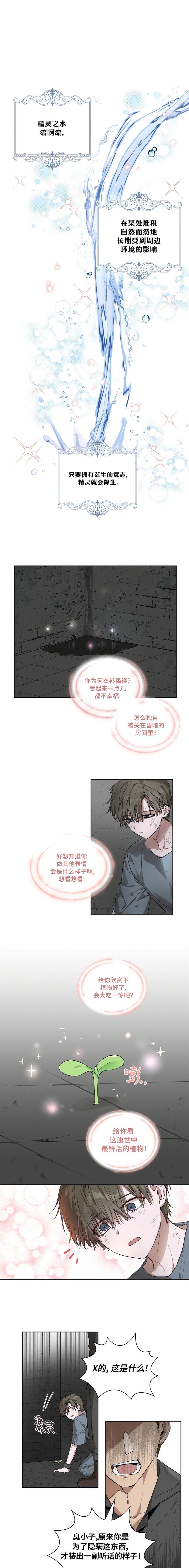 《精灵小姐，请与我缔结契约》漫画最新章节宣传漫免费下拉式在线观看章节第【2】张图片