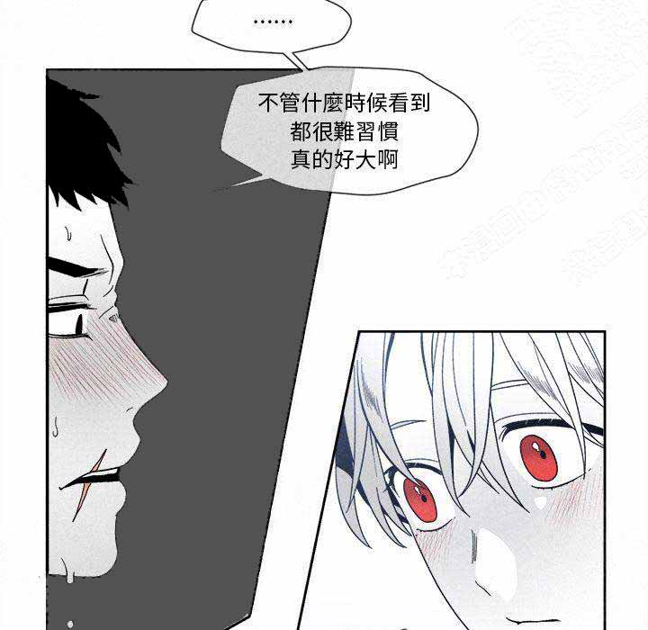 《墓志铭》漫画最新章节第11话免费下拉式在线观看章节第【31】张图片