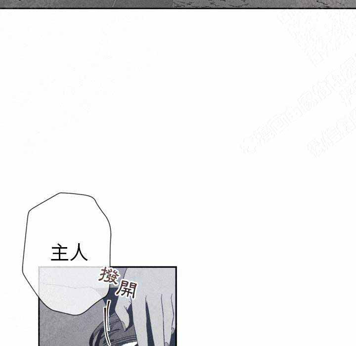 《墓志铭》漫画最新章节第13话免费下拉式在线观看章节第【61】张图片