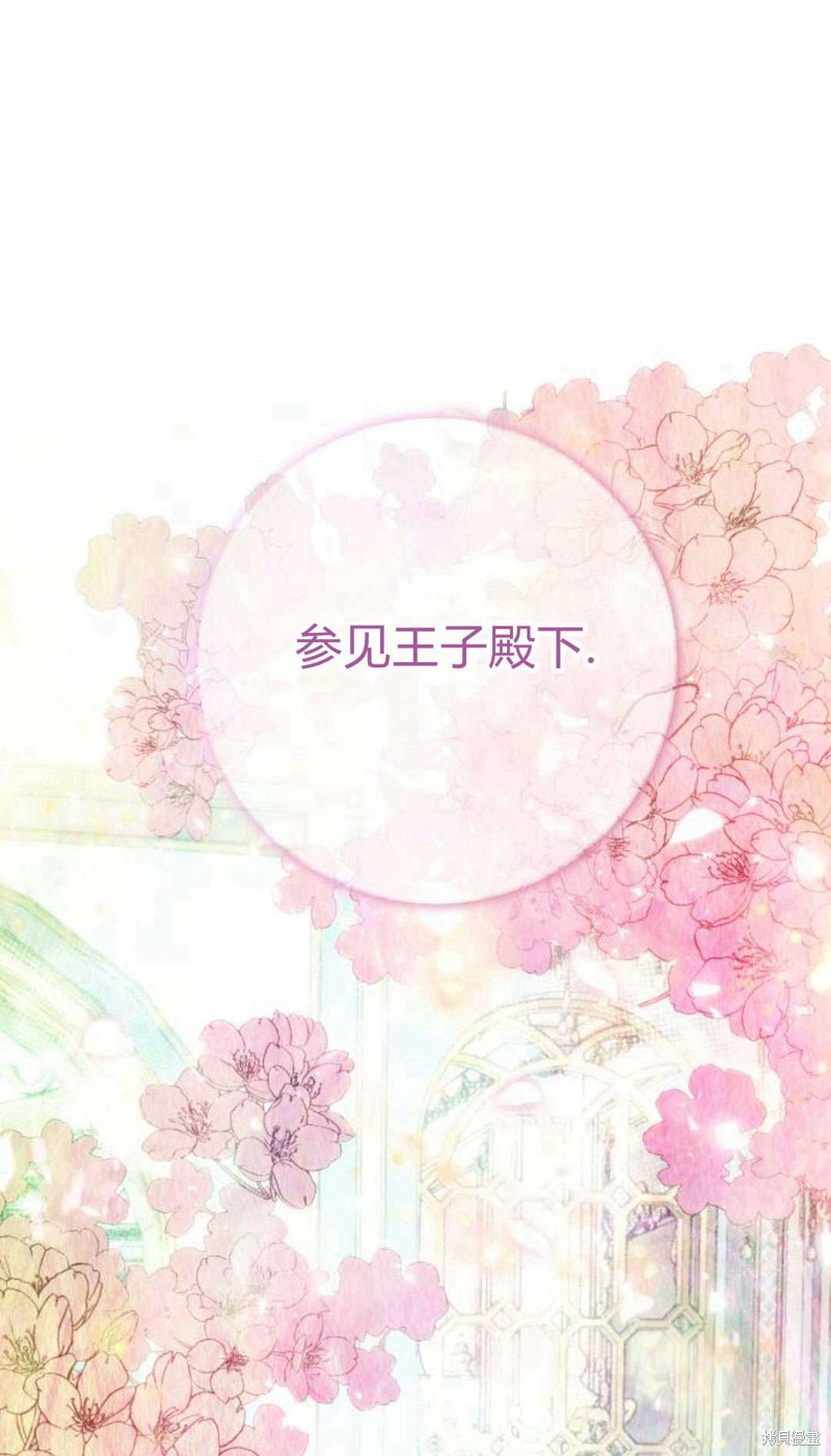 《罗莎琳·波特》漫画最新章节第1话免费下拉式在线观看章节第【49】张图片