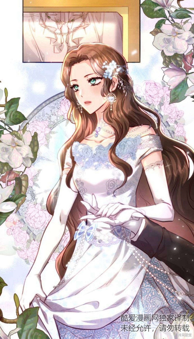 《罗莎琳·波特》漫画最新章节第1话免费下拉式在线观看章节第【30】张图片