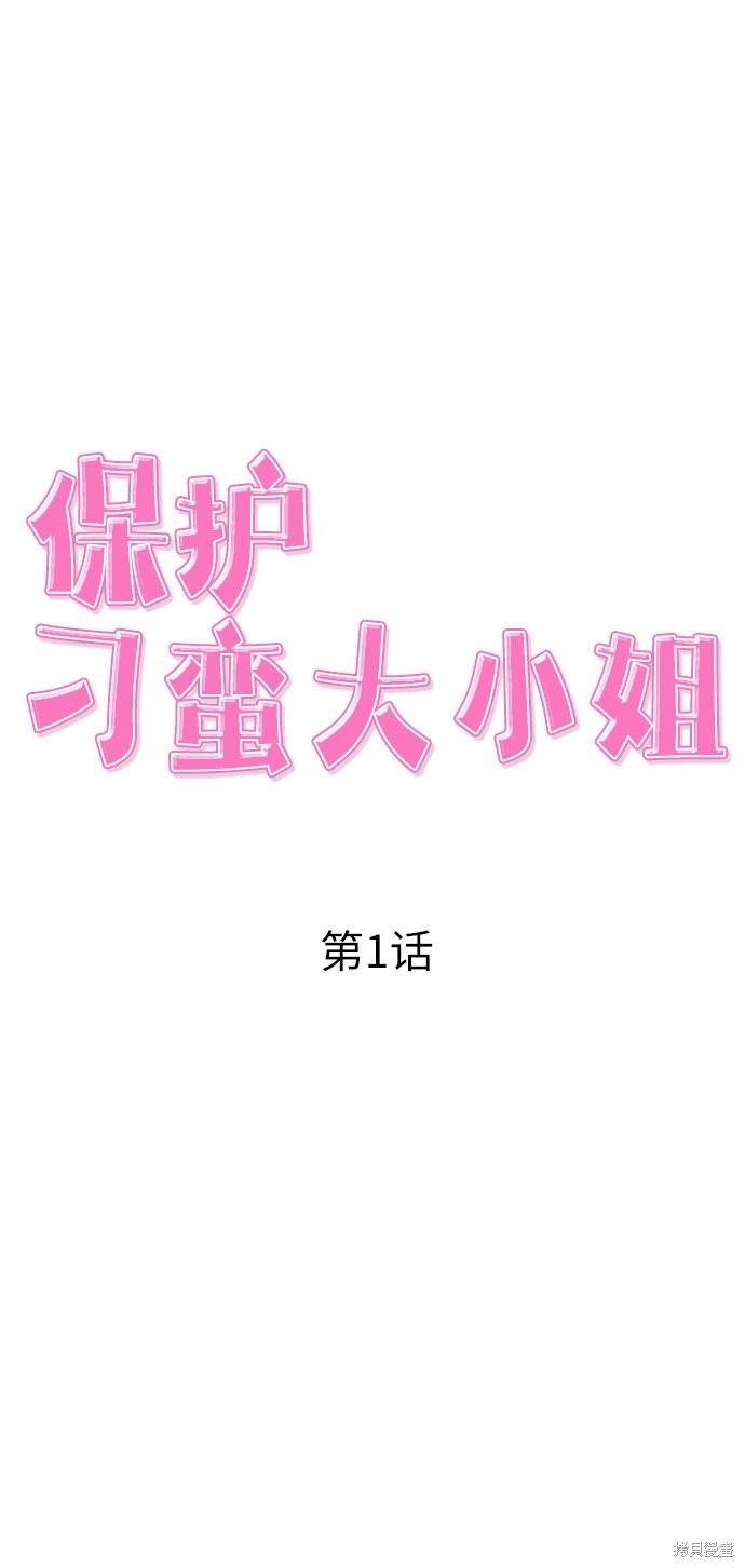 《保护刁蛮大小姐》漫画最新章节第1话免费下拉式在线观看章节第【13】张图片