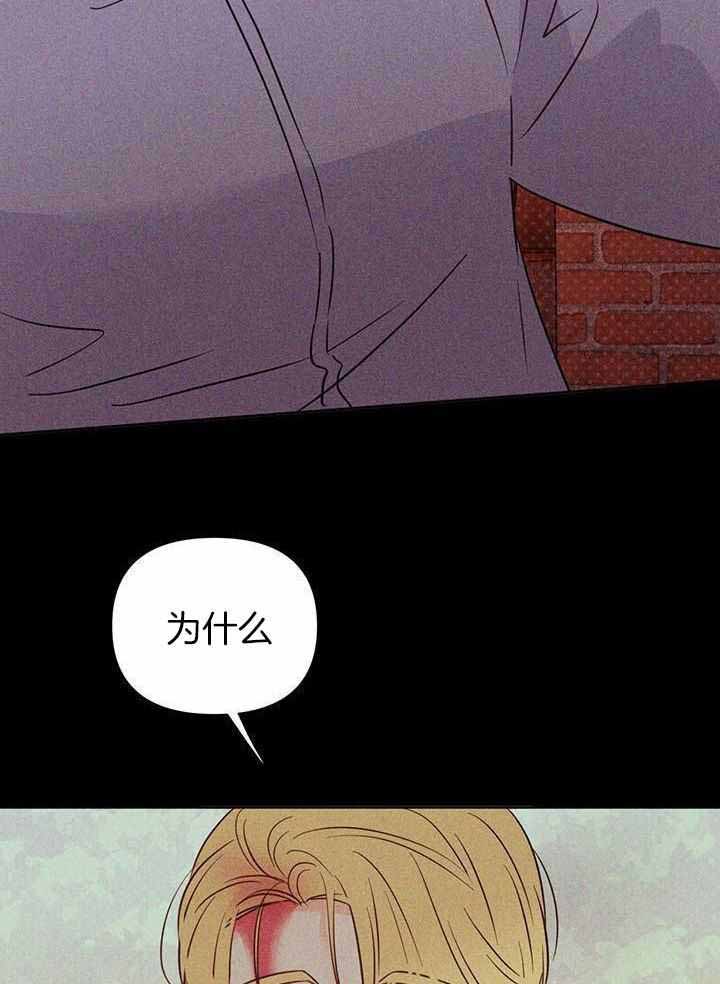 《关上闪光灯》漫画最新章节第118话免费下拉式在线观看章节第【2】张图片