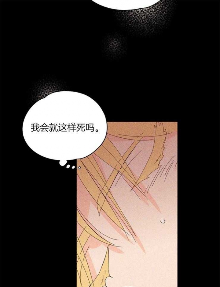 《关上闪光灯》漫画最新章节第22话免费下拉式在线观看章节第【11】张图片