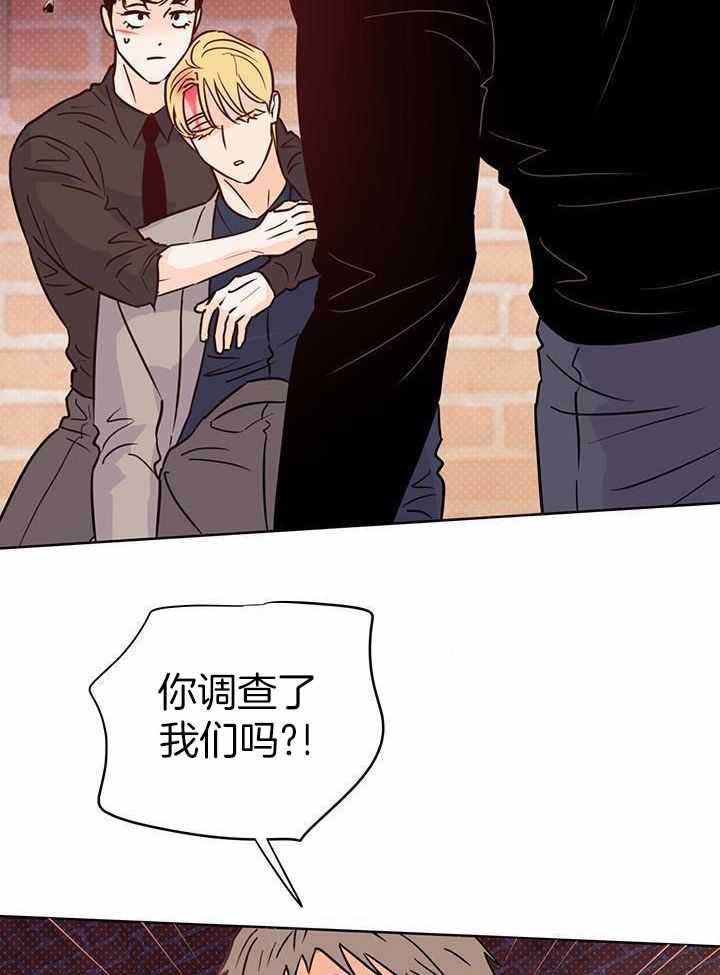 《关上闪光灯》漫画最新章节第113话免费下拉式在线观看章节第【38】张图片